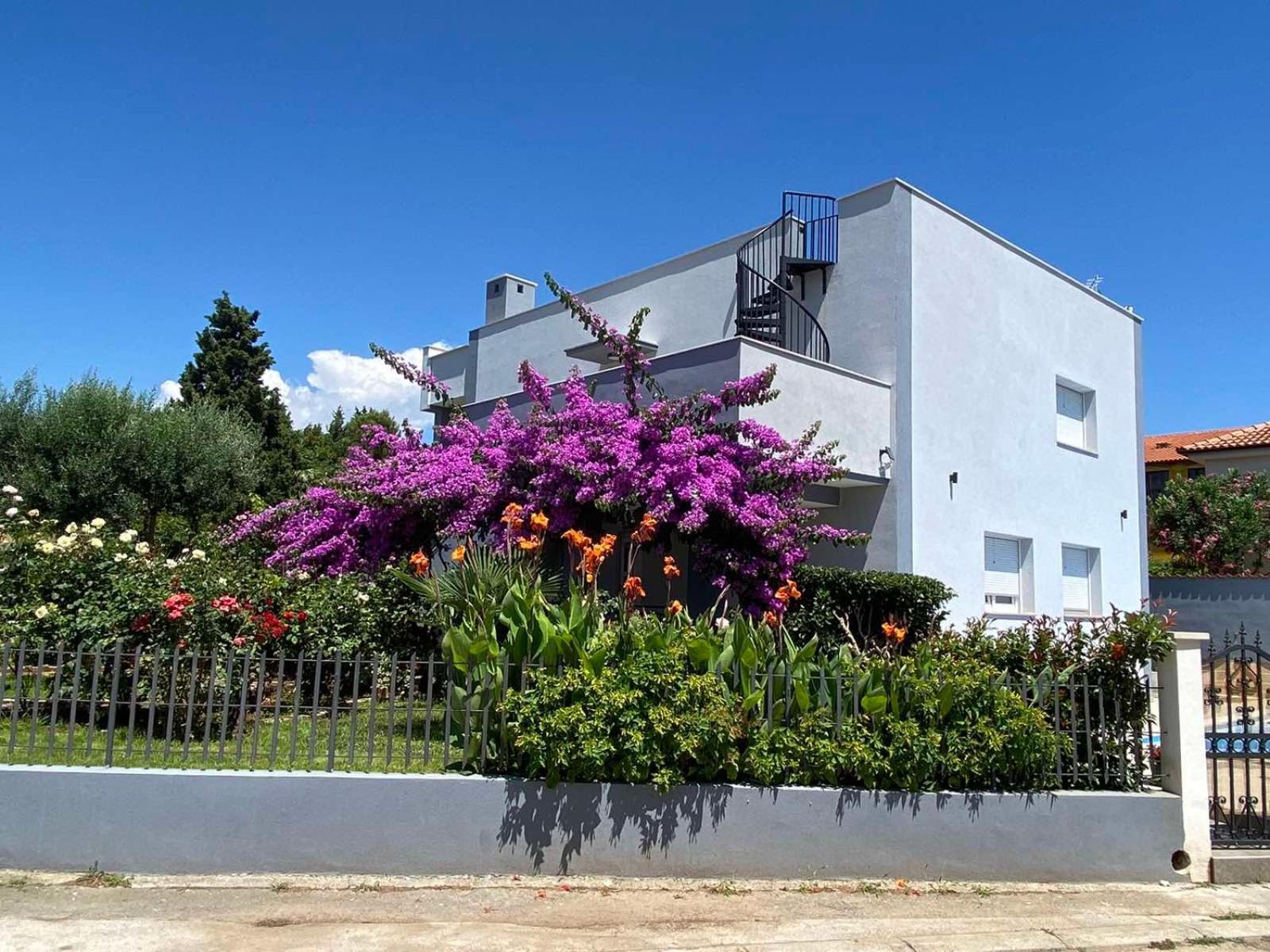 Villa Daniel Pula Exterior photo